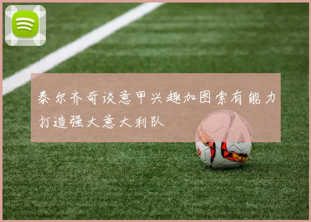泰尔齐奇谈意甲兴趣加图索有能力打造强大意大利队